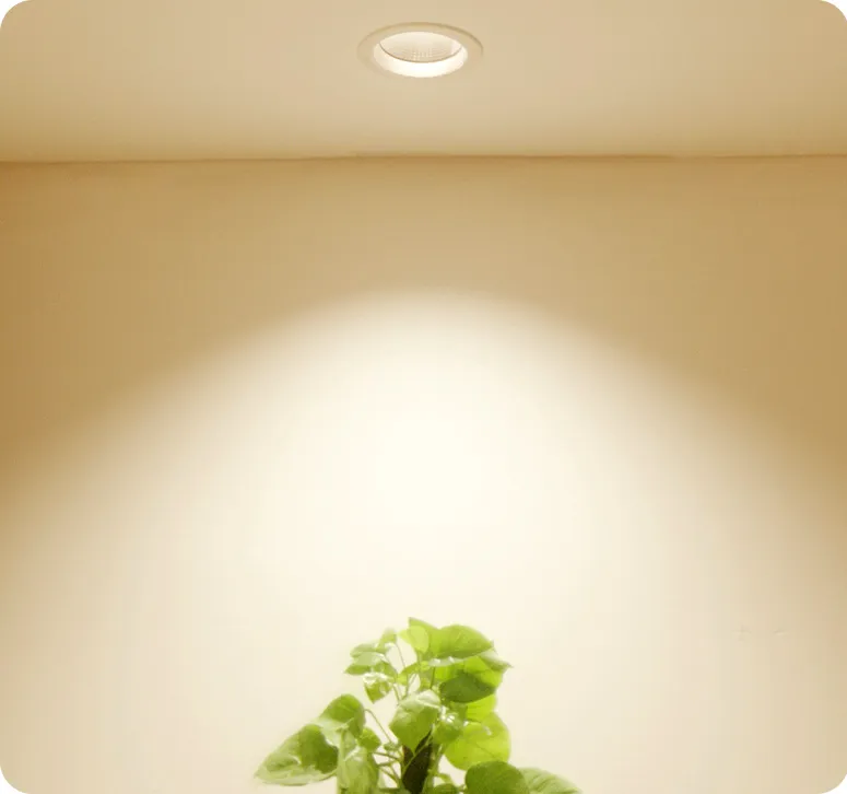 灯具选型 配图