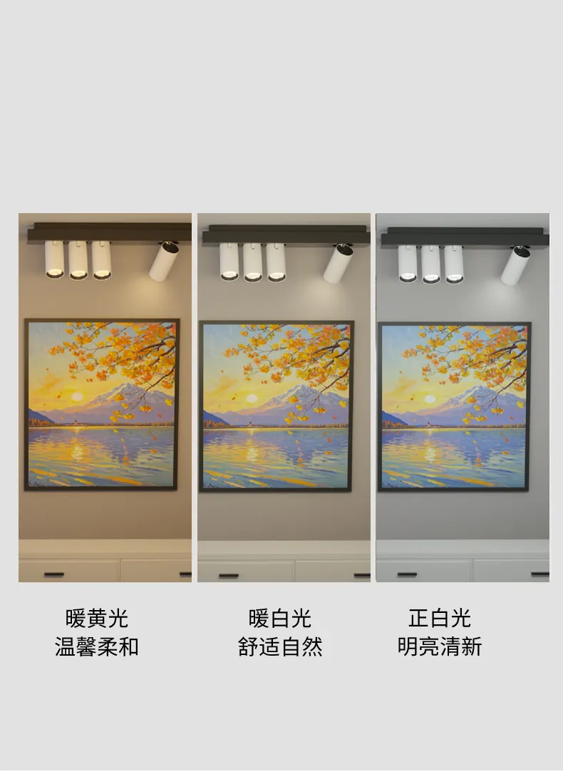 灯具选型 配图